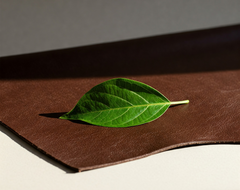 Dos and Don’ts of Cleaning Leather: A Simple Guide for Long-Lasting Shine